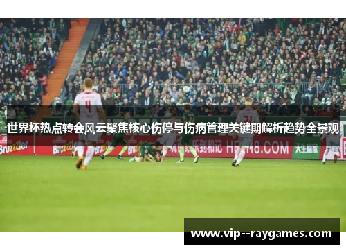 世界杯热点转会风云聚焦核心伤停与伤病管理关键期解析趋势全景观