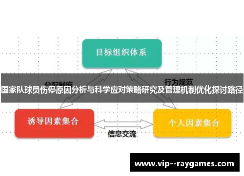 国家队球员伤停原因分析与科学应对策略研究及管理机制优化探讨路径
